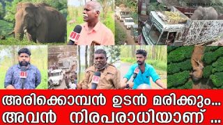 അരിക്കൊമ്പനെ മാഫിയകൾ കൊല്ലുകയാണ്… ചിന്നക്കനാലിലെ ആന സ്നേഹികൾ പറയുന്നു I Chinnakkanal Elephant
