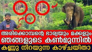 അരിക്കൊമ്പൻ ജീവിച്ച സ്വർഗ ഭൂമിയിൽ കരളലിയിക്കുന്ന കാഴ്ച.. I Arikkomban Elephant