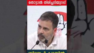 ഇനി രാഹുലിനെ ഉപദ്രവിക്കില്ലായേ.! തൊട്ടാൽ തിരിച്ചടിയുറപ്പ് I The Journalist