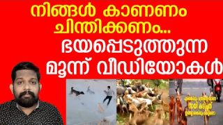 ഞെട്ടിക്കുന്ന 3 വീഡിയോകള്.. ദൈവമേ കാക്കണേ.. |Stray dog issue in kerala