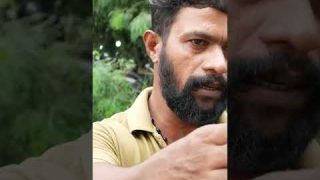 തെരുവുപട്ടികളെ തല്ലിക്കൊല്ലണോ…?