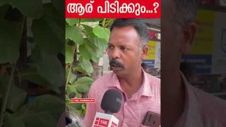 പാലക്കാട് ആര് ജയിക്കും.. ഉത്തരം ഇതാ.. |The Journalist|Public Response