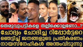 രഞ്ജിനി ഹരിദാസും ടീമും ഇതുകേട്ട് ഞെട്ടും.. തെരുവുനായ് ശല്യത്തെക്കുറിച്ച് ജനങ്ങൾ പറയുന്നു..