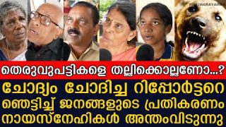 രഞ്ജിനി ഹരിദാസും ടീമും ഇതുകേട്ട് ഞെട്ടും.. തെരുവുനായ് ശല്യത്തെക്കുറിച്ച് ജനങ്ങൾ പറയുന്നു..