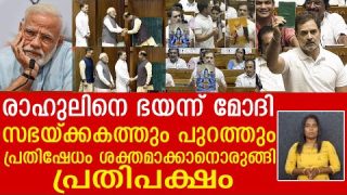 രാഹുലിനെ ഭയന്ന് മോദി. സഭയ്ക്കകത്തും പുറത്തും പ്രതിഷേധം ശക്തമാക്കാനൊരുങ്ങി പ്രതിപക്ഷം |the journalist